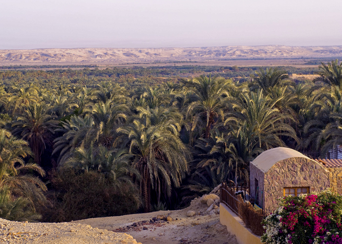 9 Days Cairo, Nile Cruise, and Bahariya Oasis