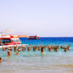 Gallery Thumbnail 1