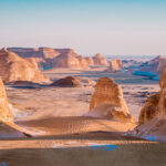 Gallery Thumbnail 0