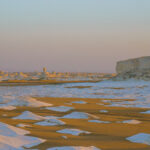 Gallery Thumbnail 1