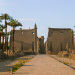 Gallery Thumbnail 8